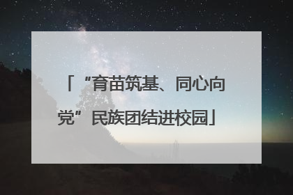 “育苗筑基、同心向党”民族团结进校园