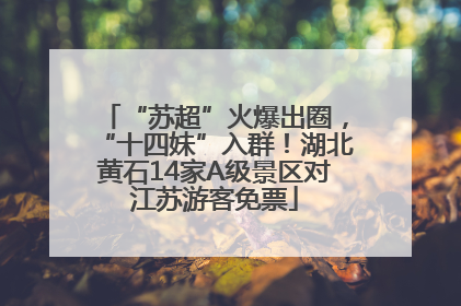 “苏超”火爆出圈，“十四妹”入群！湖北黄石14家A级景区对江苏游客免票