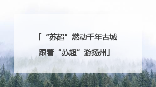 “苏超”燃动千年古城 跟着“苏超”游扬州