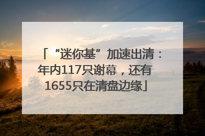 “迷你基”加速出清：年内117只谢幕，还有1655只在清盘边缘