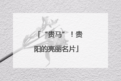 “贵马”！贵阳的亮丽名片