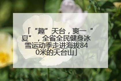 “趣”天台，爽一“夏”，全省全民健身冰雪运动季走进海拔840米的天台山