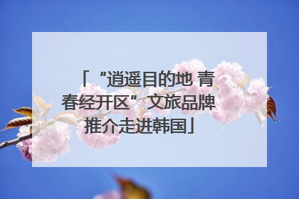 “逍遥目的地 青春经开区”文旅品牌推介走进韩国