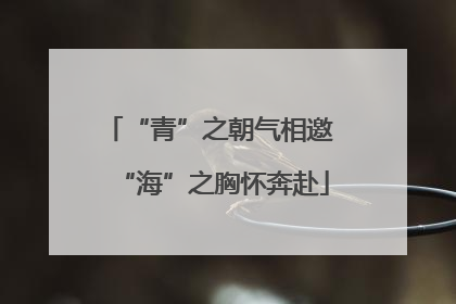 “青”之朝气相邀 “海”之胸怀奔赴