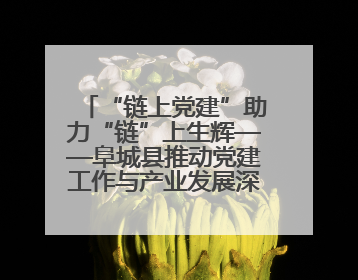 “链上党建”助力“链”上生辉——阜城县推动党建工作与产业发展深度融合