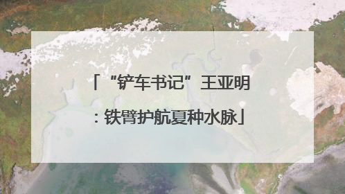 “铲车书记”王亚明：铁臂护航夏种水脉