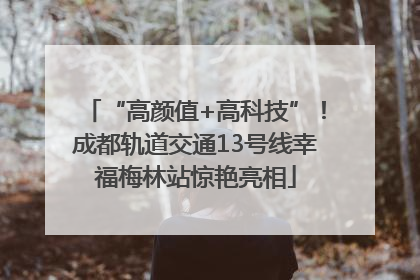 “高颜值+高科技”！成都轨道交通13号线幸福梅林站惊艳亮相