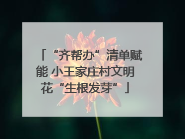 “齐帮办”清单赋能 小王家庄村文明花“生根发芽”