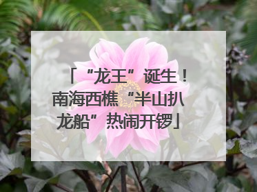“龙王”诞生！南海西樵“半山扒龙船”热闹开锣