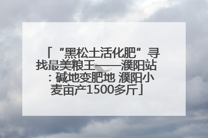 “黑松土活化肥”寻找最美粮王——濮阳站：碱地变肥地 濮阳小麦亩产1500多斤