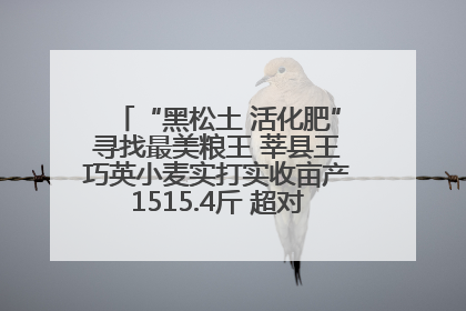 “黑松土 活化肥”寻找最美粮王 莘县王巧英小麦实打实收亩产1515.4斤 超对照田144斤！