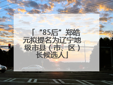 “85后”郑皓元拟提名为辽宁地级市县（市、区）长候选人