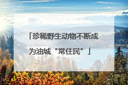 珍稀野生动物不断成为油城“常住民”