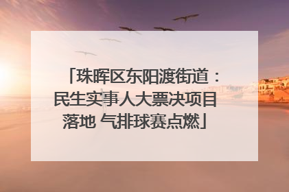 珠晖区东阳渡街道：民生实事人大票决项目落地 气排球赛点燃