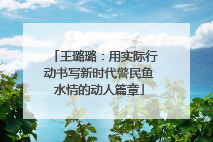 王璐璐：用实际行动书写新时代警民鱼水情的动人篇章
