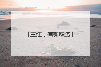 王红，有新职务