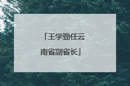 王学勤任云南省副省长