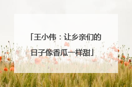 王小伟：让乡亲们的日子像香瓜一样甜