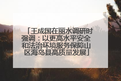 王成国在丽水调研时强调：以更高水平安全和法治环境服务保障山区海岛县高质量发展