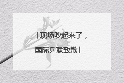 现场吵起来了，国际乒联致歉