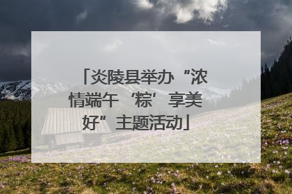 炎陵县举办“浓情端午‘粽’享美好”主题活动