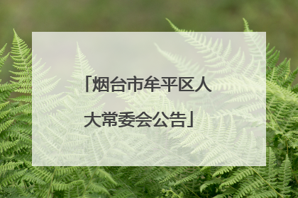 烟台市牟平区人大常委会公告