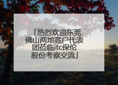 热烈欢迎东莞、佛山两地客户代表团莅临itc保伦股份考察交流