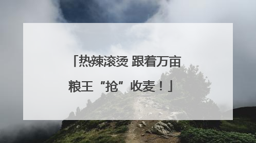 热辣滚烫 跟着万亩粮王“抢”收麦！