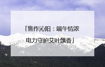 焦作沁阳：端午情浓 电力守护艾叶飘香