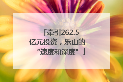 牵引262.5亿元投资，乐山的“速度和深度”
