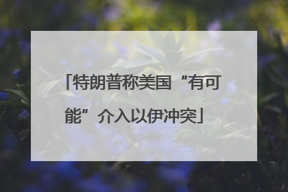 特朗普称美国“有可能”介入以伊冲突