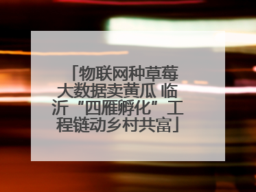 物联网种草莓 大数据卖黄瓜 临沂“四雁孵化”工程链动乡村共富