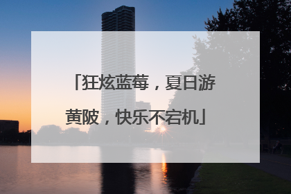狂炫蓝莓，夏日游黄陂，快乐不宕机