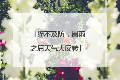 猝不及防，暴雨之后天气大反转