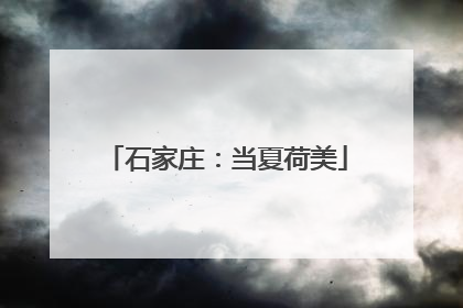 石家庄：当夏荷美