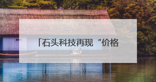 石头科技再现“价格乌龙”，其一季度存货同比增长近两倍
