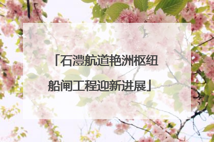石澧航道艳洲枢纽船闸工程迎新进展