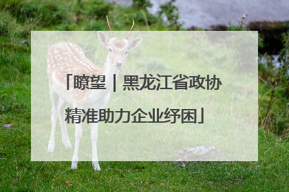瞭望｜黑龙江省政协精准助力企业纾困