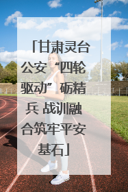 甘肃灵台公安“四轮驱动”砺精兵 战训融合筑牢平安基石