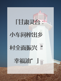 甘肃灵台：小车间榨出乡村全面振兴“幸福油”