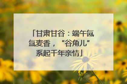 甘肃甘谷：端午氤氲麦香，“谷角儿”系起千年亲情