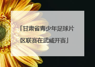 甘肃省青少年足球片区联赛在武威开赛