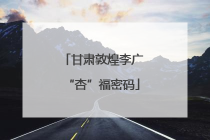 甘肃敦煌李广“杏”福密码