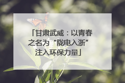 甘肃武威：以青春之名为“陇电入浙”注入环保力量