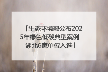 生态环境部公布2025年绿色低碳典型案例 湖北6家单位入选