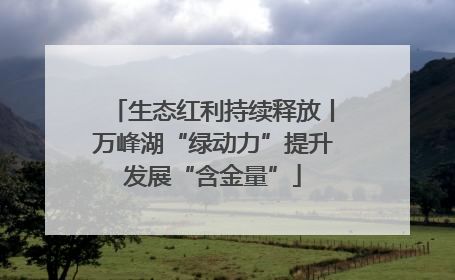 生态红利持续释放丨万峰湖“绿动力”提升发展“含金量”