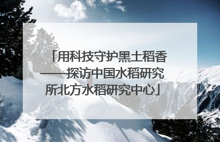 用科技守护黑土稻香——探访中国水稻研究所北方水稻研究中心