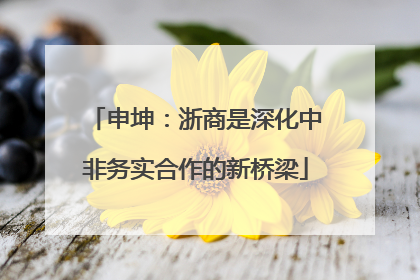 申坤：浙商是深化中非务实合作的新桥梁