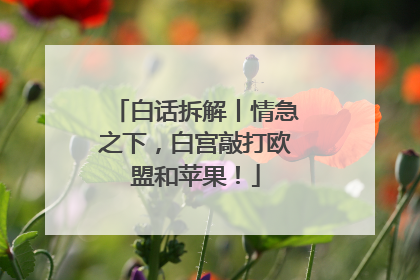 白话拆解丨情急之下，白宫敲打欧盟和苹果！