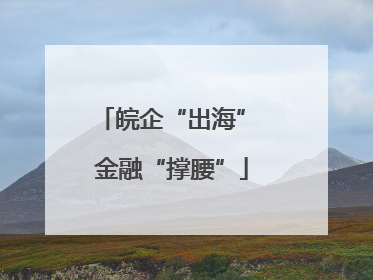 皖企“出海” 金融“撑腰”